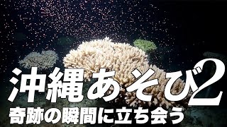【沖縄遊び2】奇跡の瞬間に立ち会う