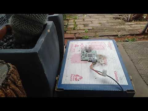 240v to SATA power adapter test