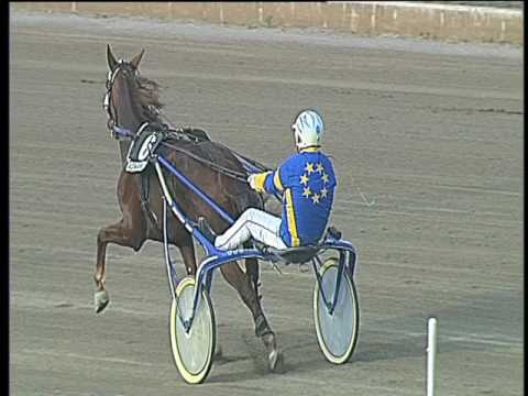 Trotto 07/04/2017 - 5ª corsa