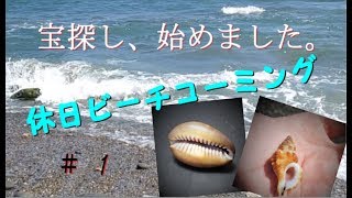 【ビーチコーミング / 貝殻拾い】あ、宝探しに行こう。#1
