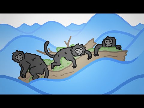 How African Monkeys Traveled to South America: The Rafting Hypothesis