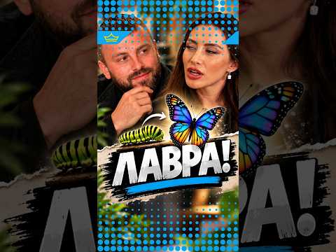 От „лаВра“ до пеперуда: Габи обясни на Цецо как шлифова жени