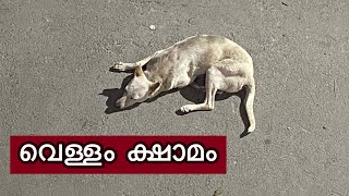 Dry Bangalore... People's desperate plea for a sip of water