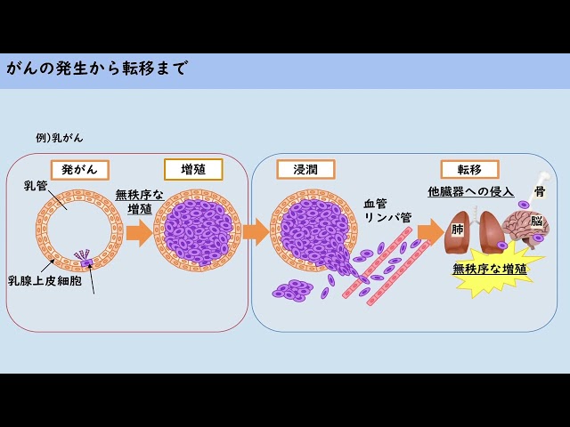 動画サムネイル