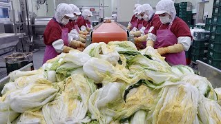 Interesting Korean Kimchi Mass Production Factory. 30 Tons of Kimchi Manufacturing Process