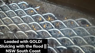 Sluicing with flood waters || Insane gold Mogo State Forest