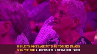 Michael Winckler - Den første gang jeg så dig.