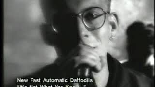 Music video thumbnail preview for New Fast Automatic Daffodils   It's Not What You Know by New Fast Automatic Daffodils