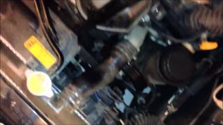 Lexus IS300 Serpentine Belt Change