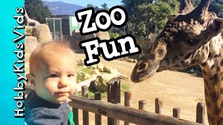 HobbyGator's First Visit to the ZOO! Elephants, Goats + Feed Giraffes by HobbyKidsVids