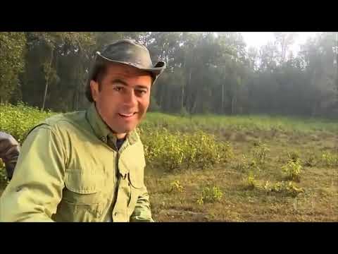 Índia - Globo Repórter Completo