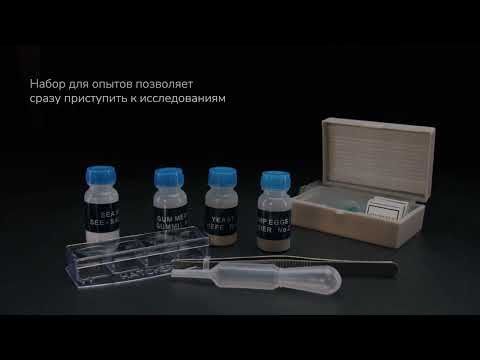 Микроскоп Levenhuk Rainbow 50L PLUS 