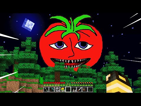 HO INCONTRATO MR TOMATO NEL MIO MONDO DI MINECRAFT!!