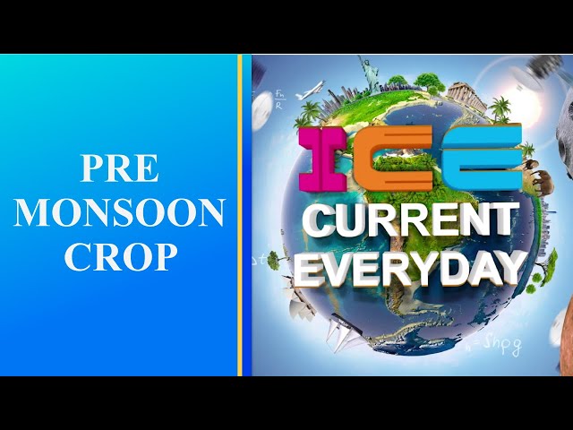 060 # ICE CURRENT EVERYDAY # Pre-monsoon crop