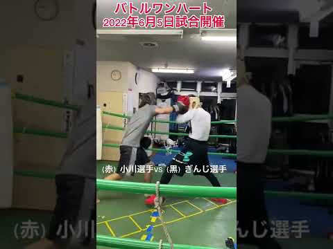 小川選手VSぎんじ選手#shorts #スパーリング#rizin #ボクシング #格闘技
