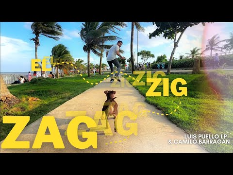 EL ZIG ZAG | Luis Puello LP | Video Oficial