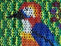 Pop Tab Art Colorful Bird Made From Pop Tabs