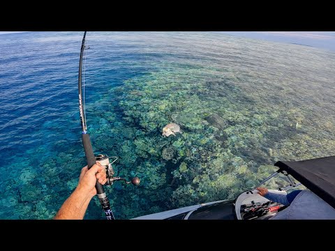 Uncharted Great Barrier Reef Fishing | (3 days camping small boat) 