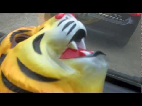 My Tiger My Timing @ Glastonbury John Peel Stage Sunday 26th June 2011