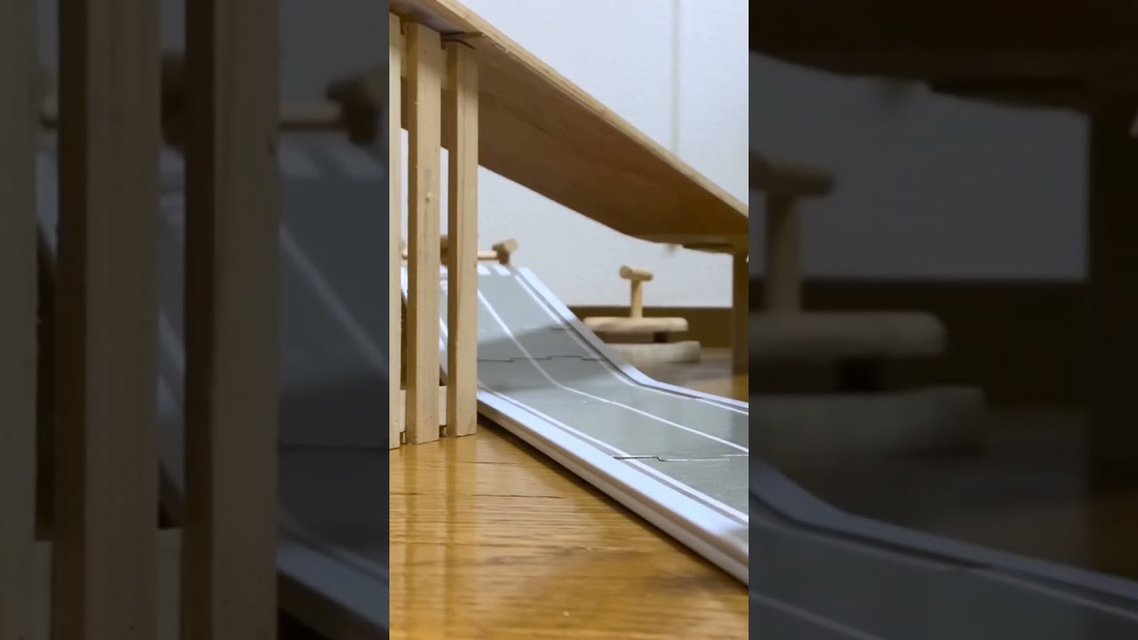 お気に入りの過去動画 #スケボー文鳥 #shorts #ドヤ顔