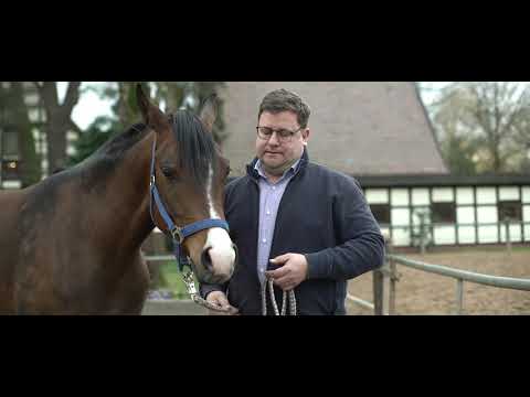 DIE DREI - DER FILM – Vorstellung Araberstute Emmy