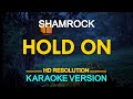 HOLD ON - Shamrock (KARAOKE Version)