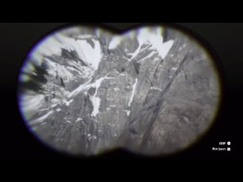 RDR2 Hawk Catches Rabbit