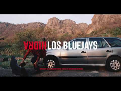Hidra - Los Bluejays