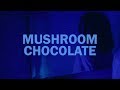 QUIN x 6LACK - Mushroom Chocolate // Lyrics