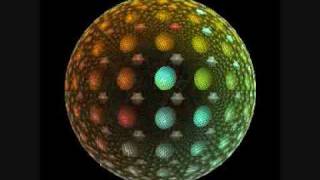 Under the Magnolia Tree