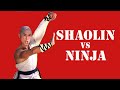 Wu Tang Collection Shaolin VS Ninja