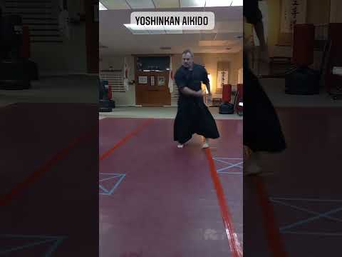Yoshinkan Aikido Defense against a Haymaker punch.