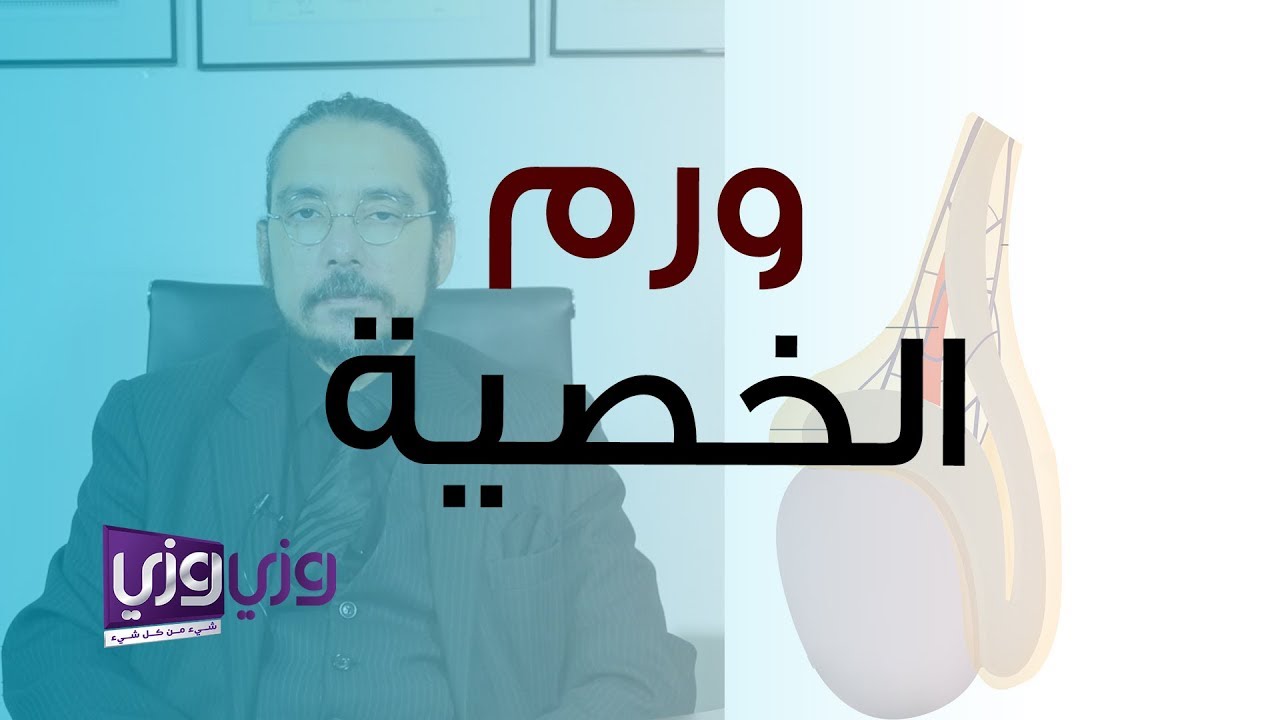 ما هو ورم الخصية برايمري تيستكلر ليمفوما