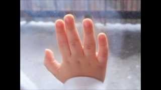 Magdalena Kania - Moja prośba