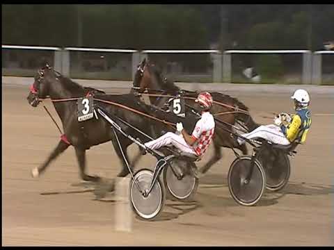 Trotto 18/06/2020 - 7ª corsa