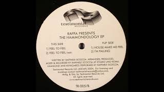 Raffa (Raffaele Scoccia) – The Hammondology EP - Testimonial Records – TR 005 (2004)