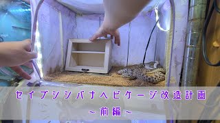 セイブシシバナヘビケージ改造計画～前編～【vlog】【りんと日記】