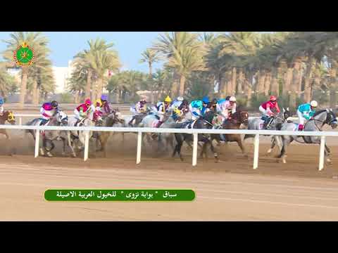 الشوط السابع- السباق الخامس- 16/11/2018 - Race 5 7th meeting