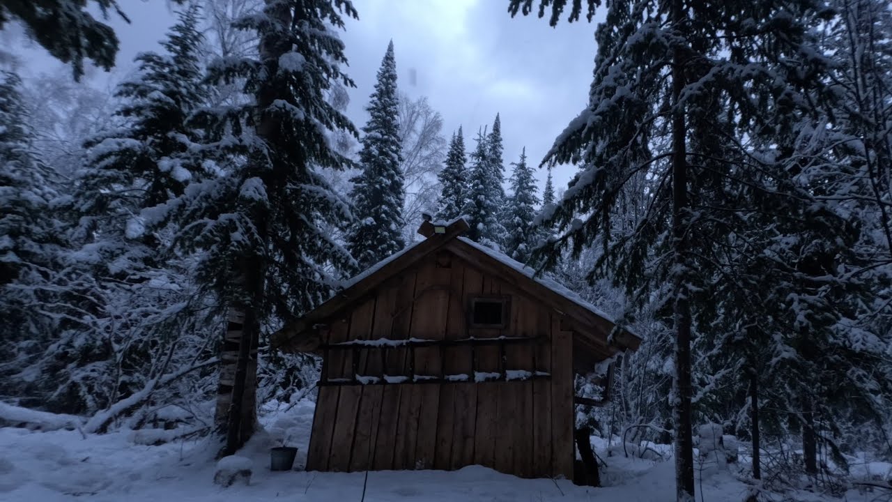 ЖИВУ КРУГЛЫЙ ГОД В ТАЙГЕ. НОЧНОЙ УРАГАН ПРЕПОДНЁС СЮРПРИЗЫ. ЖИЗНЬ В ДАЛИ ОТ Л?