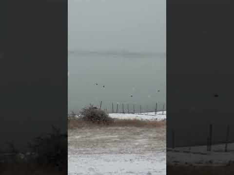 Nevando zona El Chaltén Bahía Túnel Santa Cruz Argentina