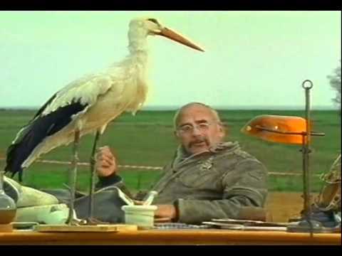 Mittendrin in einer Feuchtwiese - Folge 02 Teil 2