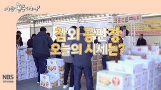 [나는농부다 291회] 참외 공판장 오늘의 시세는?