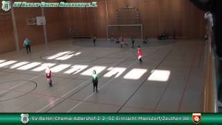 preview picture of video '26.01.2013 - 1.F-Jugend - Fussballturnier SC Eintracht Miersdorf-Zeuthen'