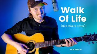 Walk Of Life • Joe Robinson • Dire Straits Cover
