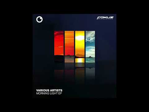 Mixmaster Doc & Dave Shichman - Another Special City (Fokuz Records)