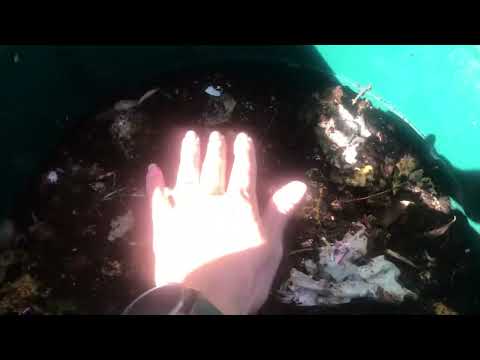 Så är kan en varmkompost se ut