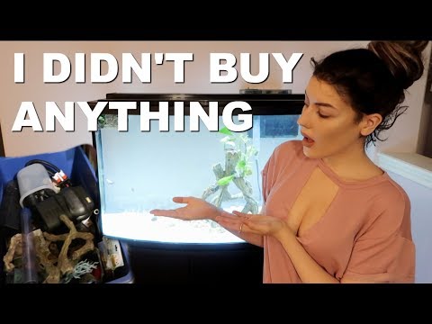 SETTING UP A FISH TANK USING ONLY SPARE PARTS