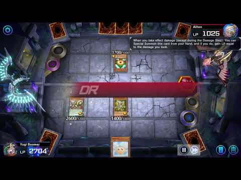 [2025 LP] Check & Mate