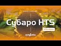 Насіння соняшника Субаро 