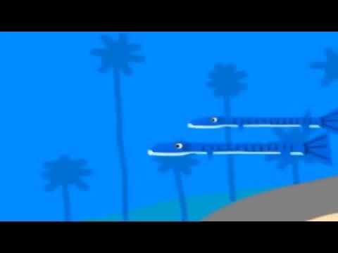 Barracuda from finding nemo movie